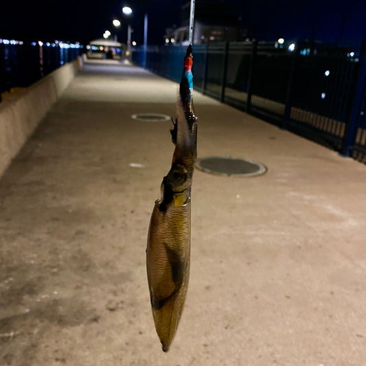 Pre-Rigged Squid Jig Setup – Ready to Fish